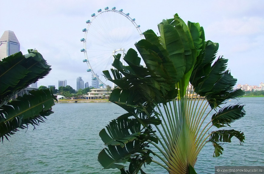 «В бананово-лимонном Сингапуре…» ч.4. Сердце Сингапура — Марина Бэй