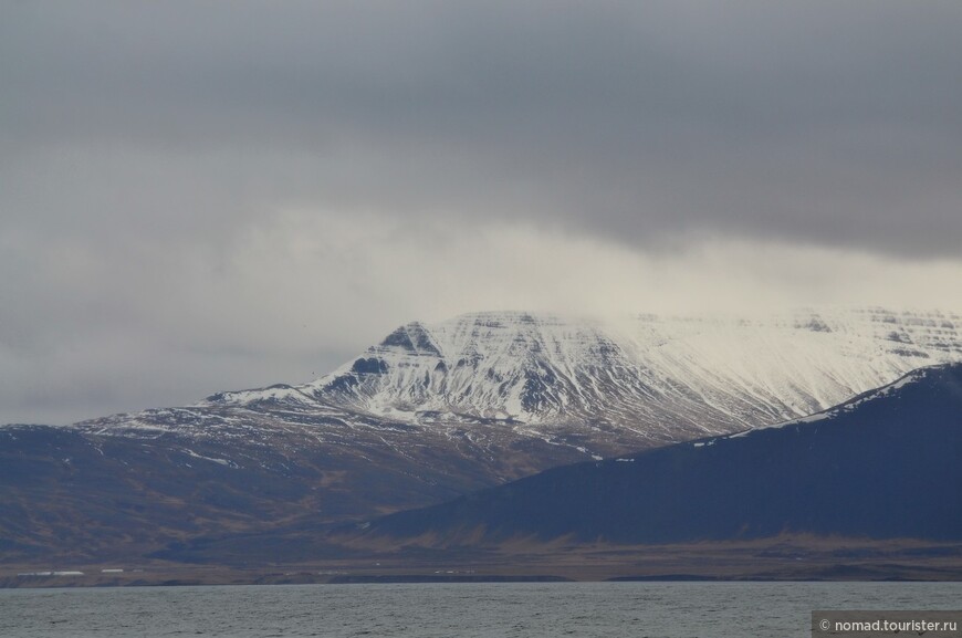 2226 километров по стране чудес. Исландия. Часть 1