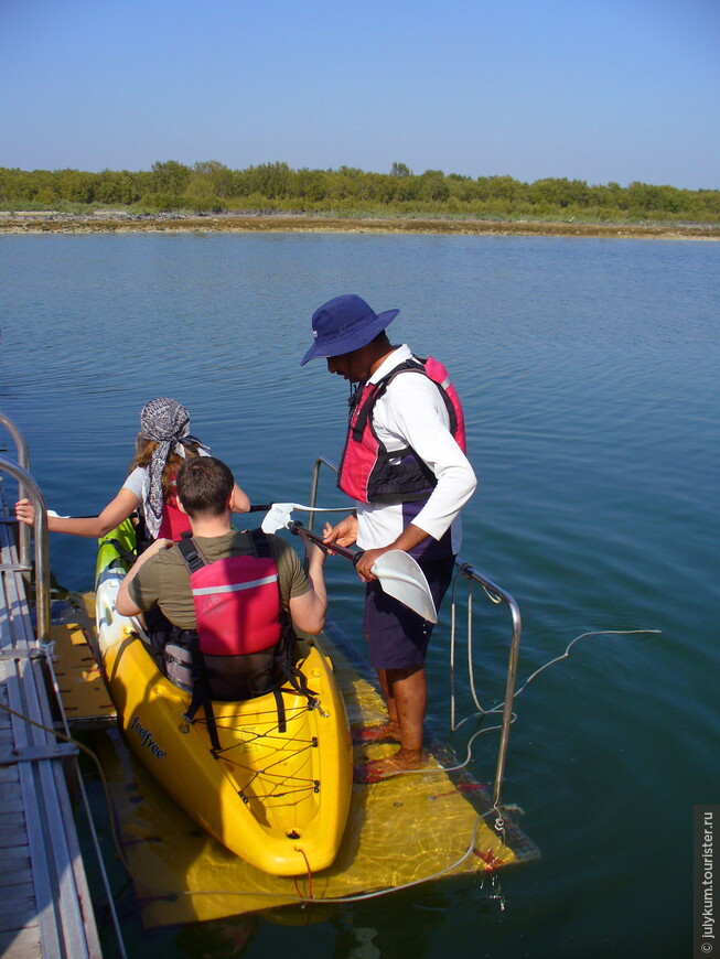 На каяках по мангровому лесу Eastern Mangroves Lagoon