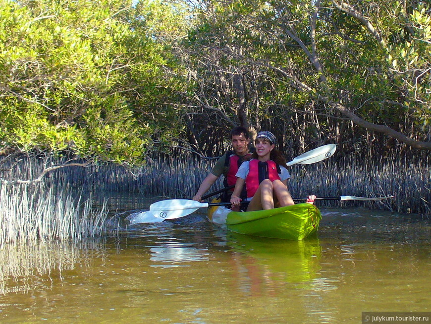 На каяках по мангровому лесу Eastern Mangroves Lagoon