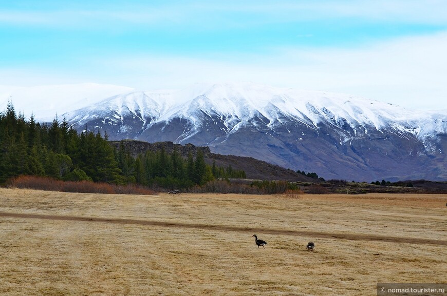 2226 километров по стране чудес. Исландия. Часть 2