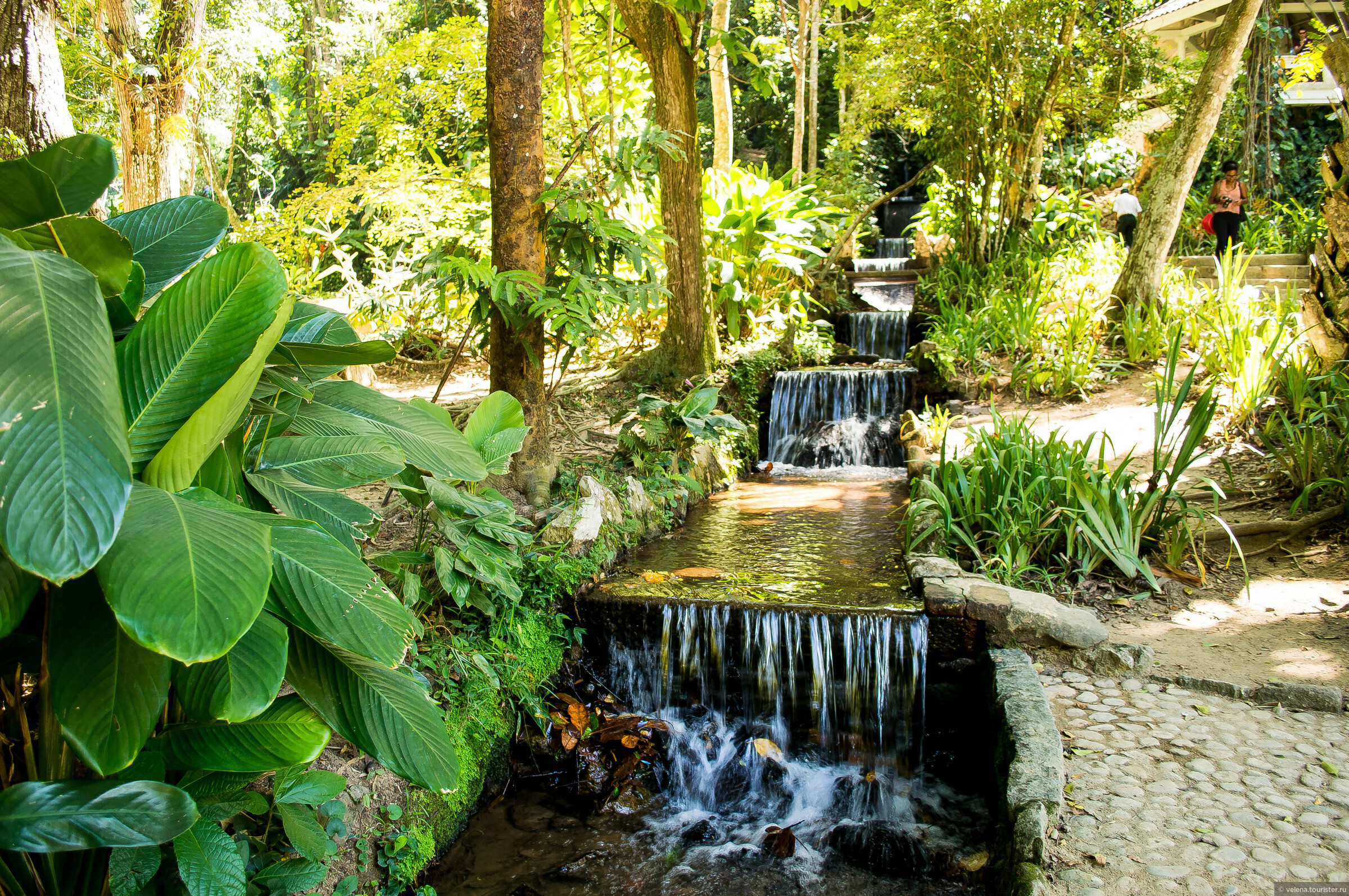 Ботанический сад в рио де жанейро бразилия