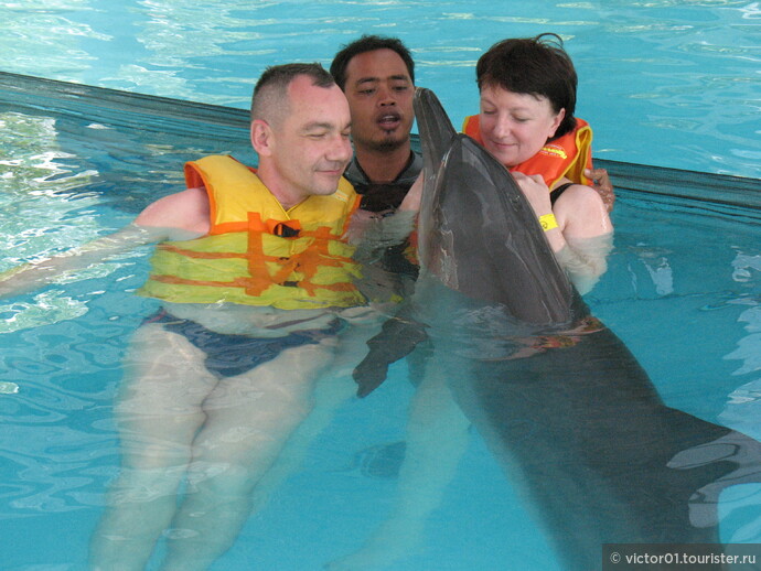 Територрия отеля Melka Hotel Bali 3 звезды,  на севере Бали, район Ловина. В отеле есть два бассейна в которых жили два дельфина, с которыми можно поплавать. А еще там организуют дельфинотерапию для деток