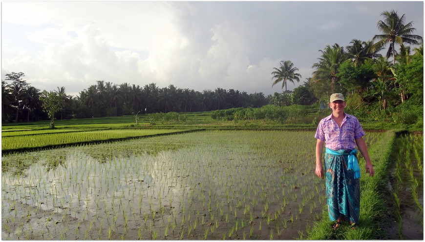 Рисовые поля, Убуд, о.Бали
