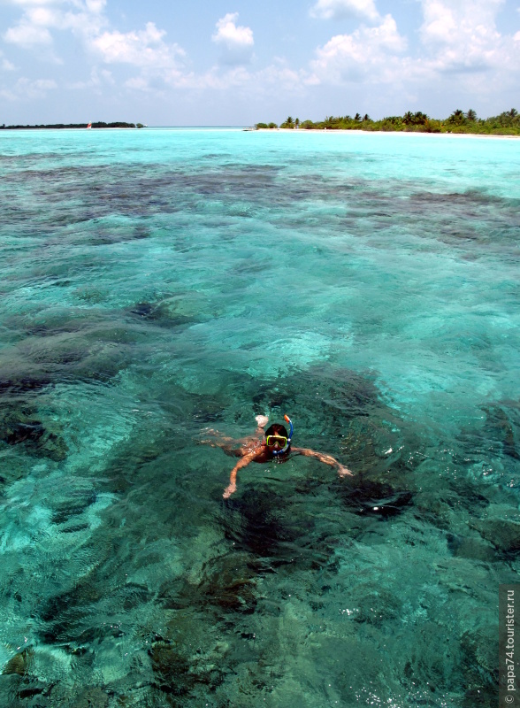 Fun island. Море звезд Мальдивы. Знаменитости на Мальдивах. Мальдивская звезда черная. Island fun Steven фото.