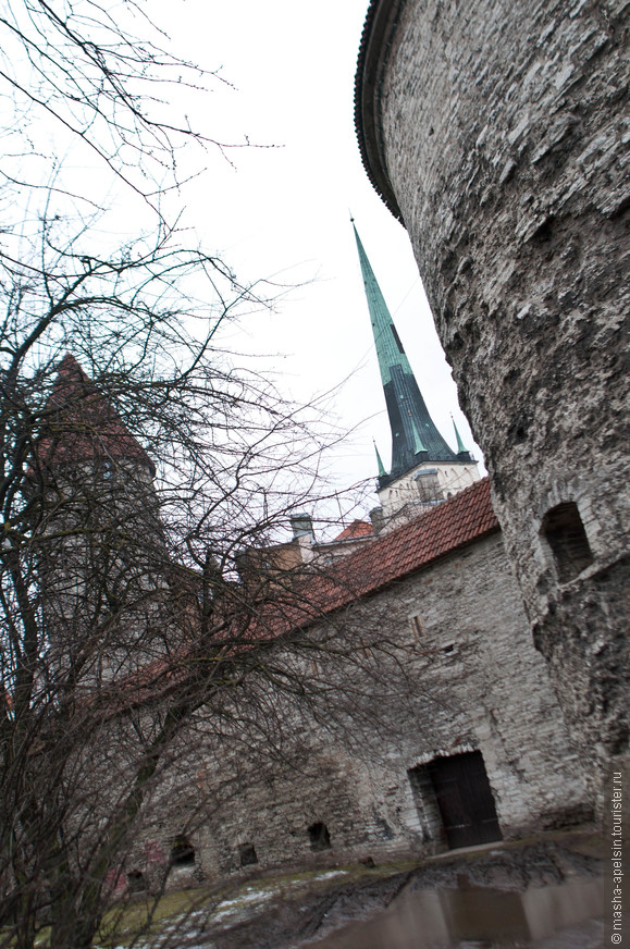 Маленькое путешествие в Таллин (Эстония)