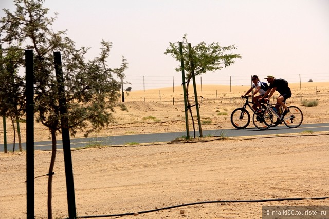 На велосипеде по пустыне в Эмиратах.