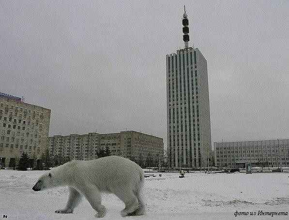 Мой Архангельск (часть 1)