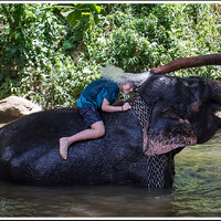 Пиннавеле. Сначала дети купали слона, теперь слон купает Филиппа! ))