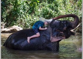 Пиннавеле. Сначала дети купали слона, теперь слон купает Филиппа! ))