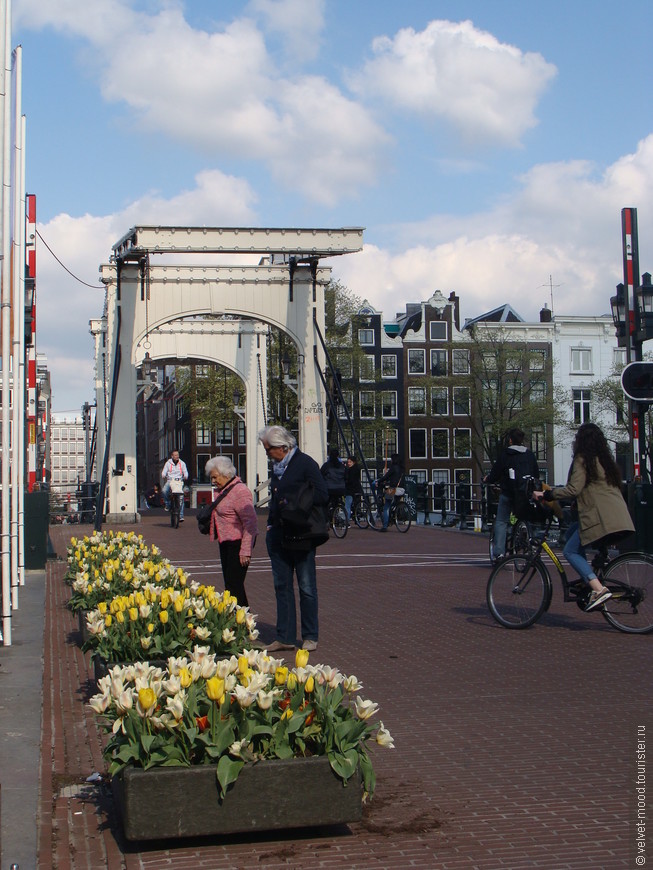 Амстердам и окрестности в апреле – буйство красок, эмоций и цветов