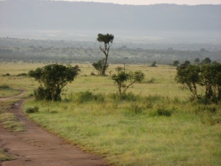 Кения: сафари по-быстрому 