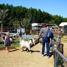 Зоопарк-ферма Petting Farm
