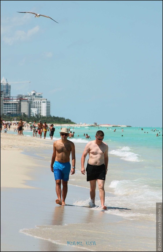 Многоэтажная Америка: Звездный рай под названием Майами! Глава 7