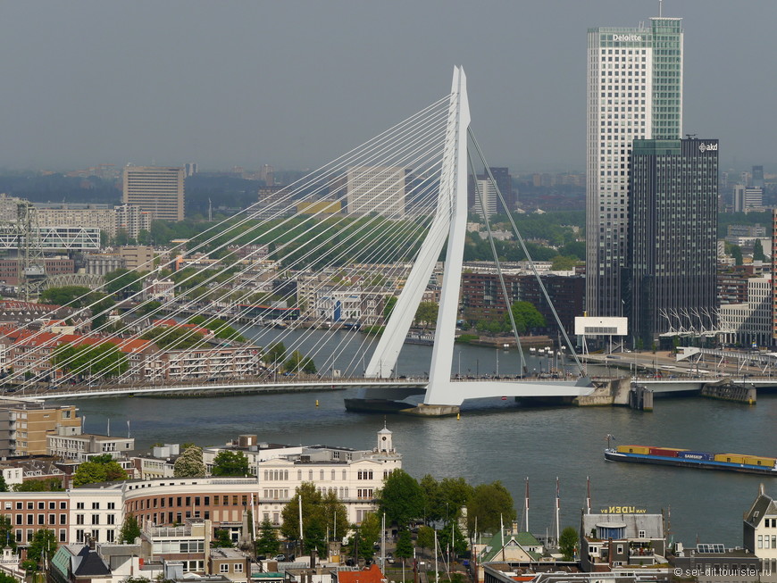 Мост Эразма, мост лебедь. Символ Роттердама.Самый длинный разводной мост в мире