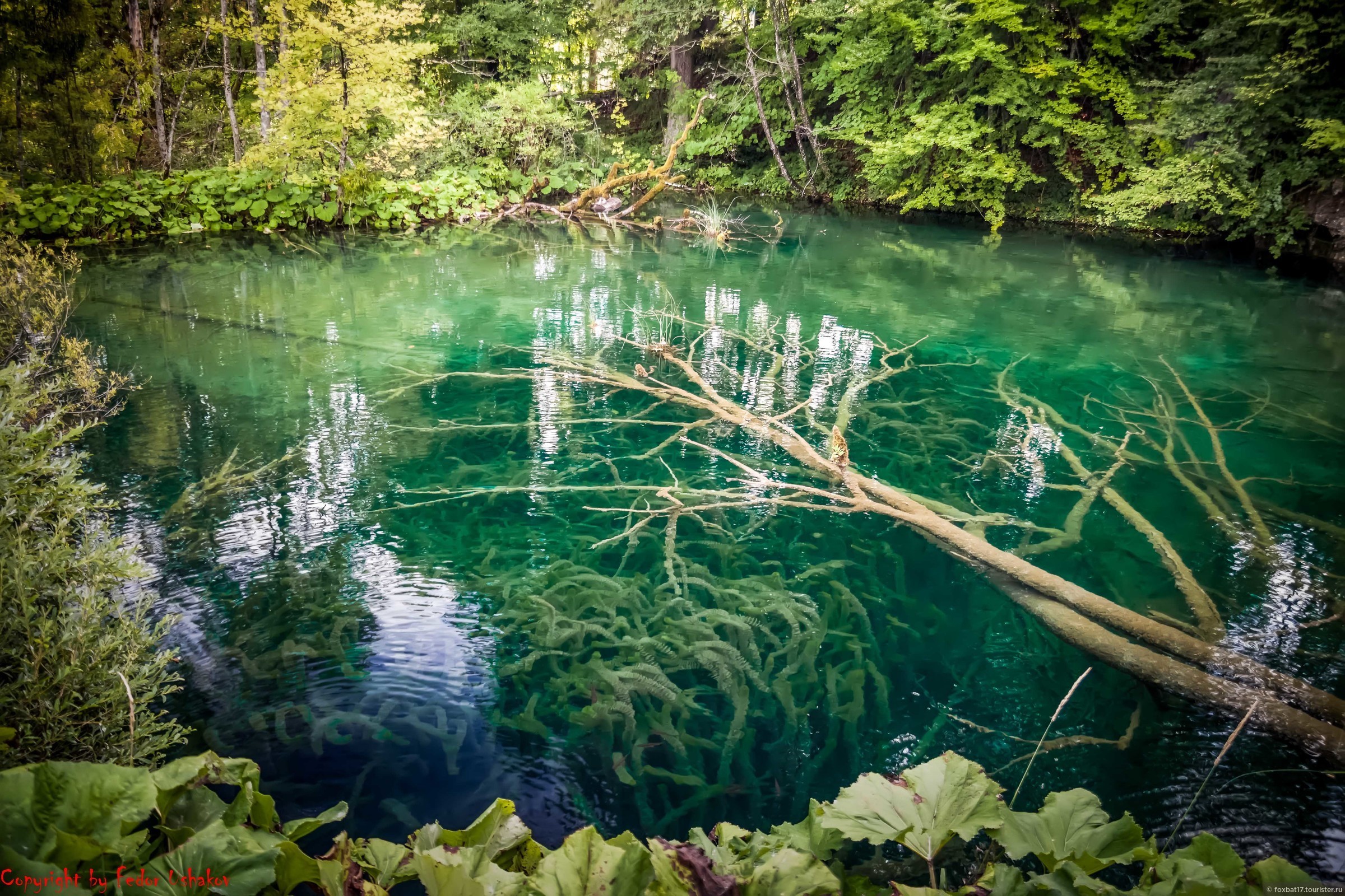 Верхние Плитвицкие озера