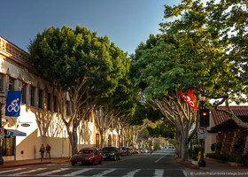 Это улочка привлекла меня деревьями - они просто нереально красивы, и так  вписываются в уютный облик города.