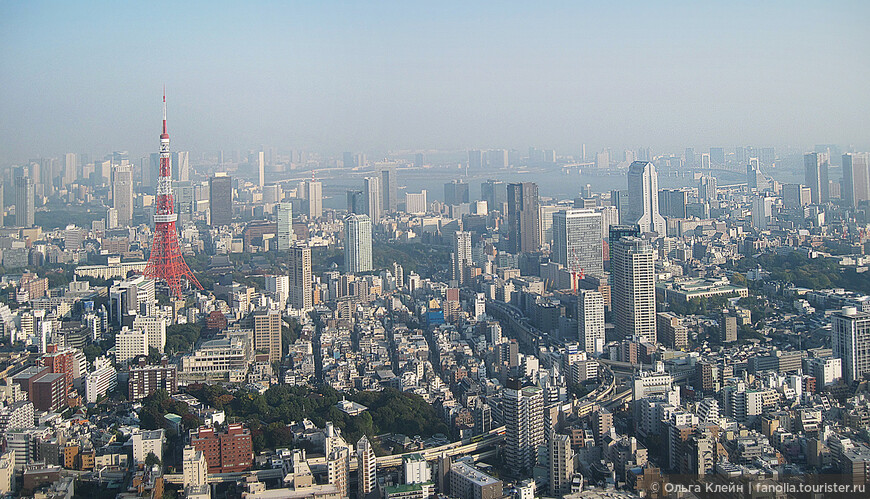 Одна из лучших обзорных площадок Токио