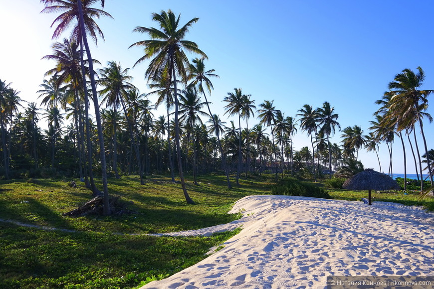 Как мы побывали в доминиканском раю, или способны ли мы на овощной отдых?