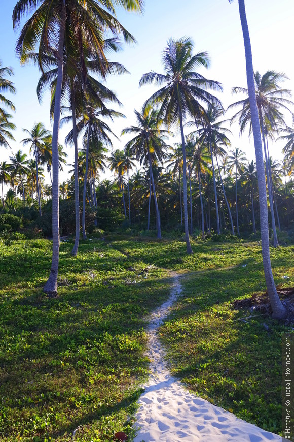Как мы побывали в доминиканском раю, или способны ли мы на овощной отдых?