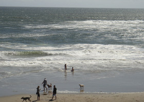 Вода холоднющая, но девочки бегают наперегонки с собаками по берегу, уворачиваясь от больших волн.