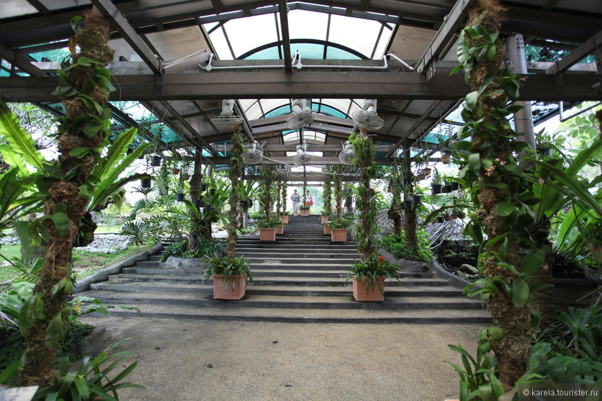 Орхидеевые сады, обезьяньи пещеры и звездные башни Куала-Лумпура 