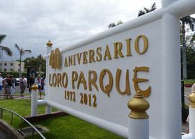 Лоро парк Пуэрто-де-ла-Крус.Канары