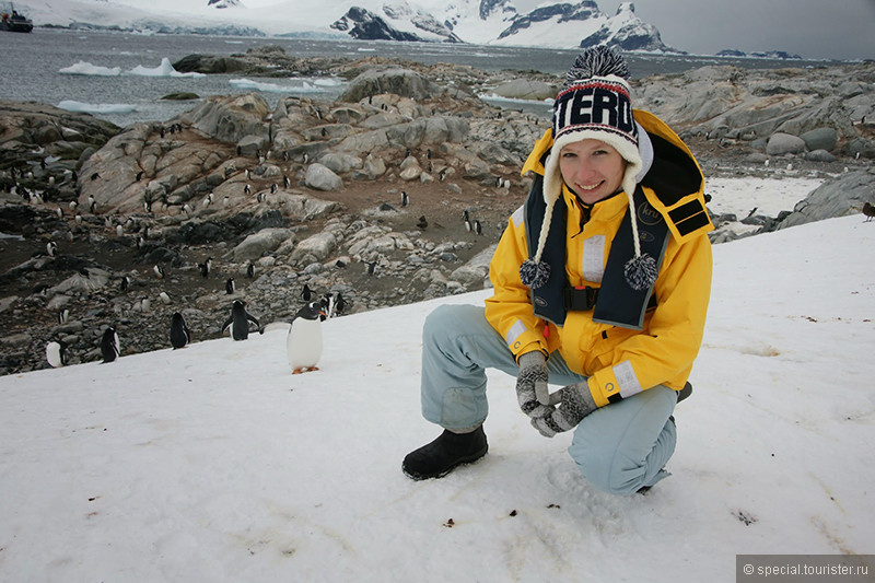 Экспедиционный круиз в Антарктику