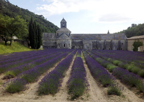 Аббатство Notre-Dame de Senanque. Вот в это место мы и не надеялись попасть, но посчастливилось-таки! ну и здесь было ооочень много туристов, особенно азиатов.