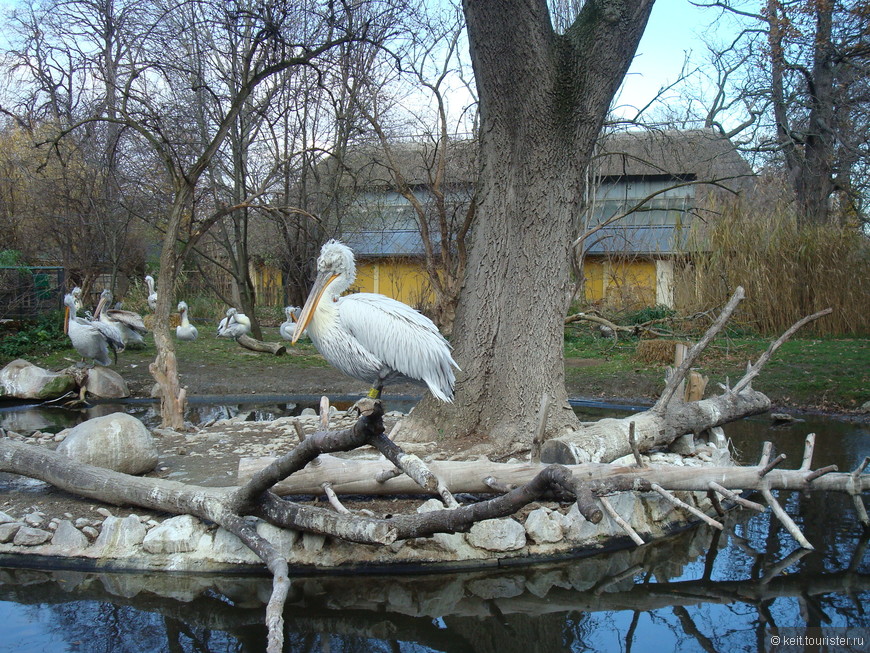 Один прекрасный день