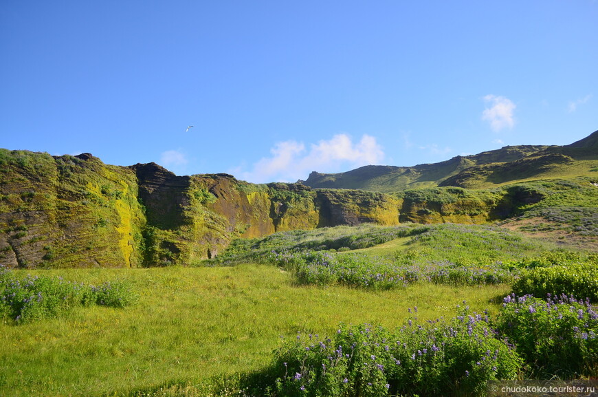 Исландия или страна чудес без тормозов