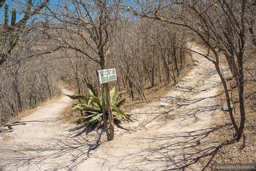 Секреты Мексики: застывшие водопады Иерве-эль-Агуа