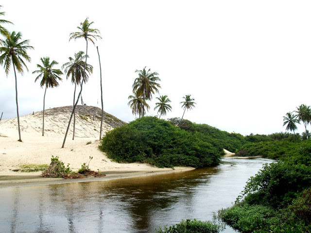 Кораллы, ветер, песок и река «кока-колы» — к северу от города Рождества