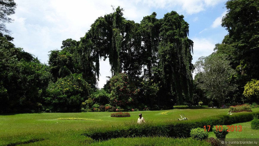 Ботанический сад в Перадении