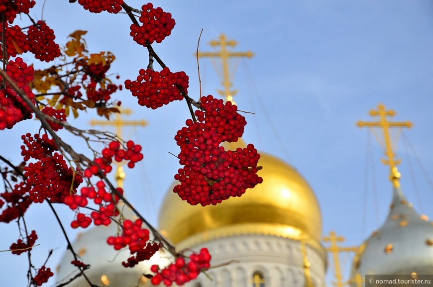 Зачатьевский женский монастырь 