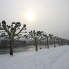 Фото Вюрцбурга зимой, Бавария