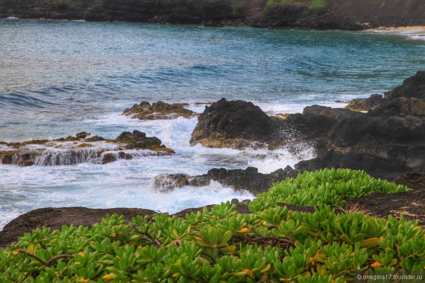 Алоха, Гавайи! Часть VI. Фототур по острову Оаху