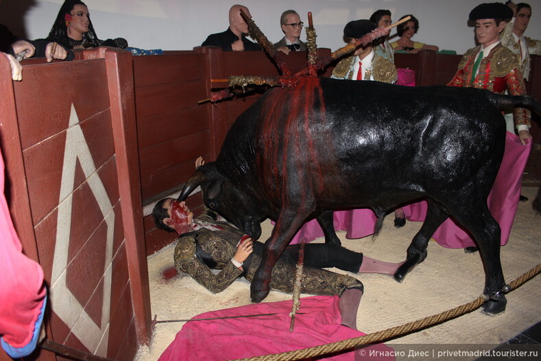 Бой быков в Испании прерван из-за травм матадоров