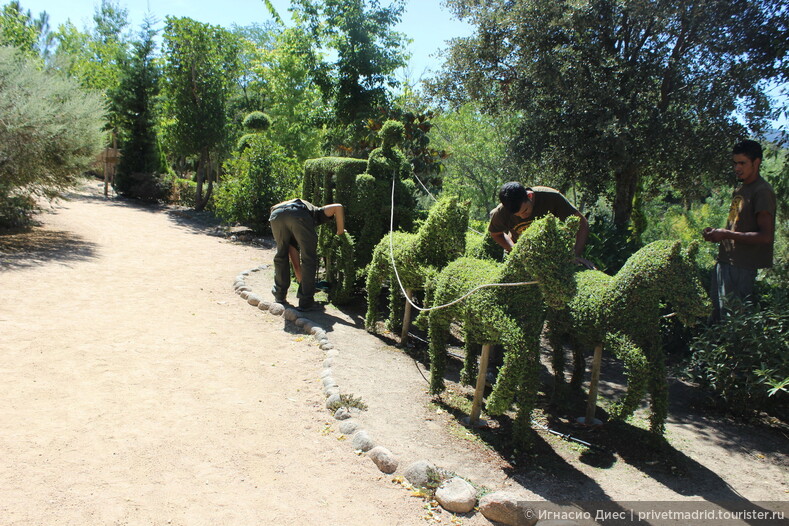 Парк для детей и взрослых El Bosque Encantado