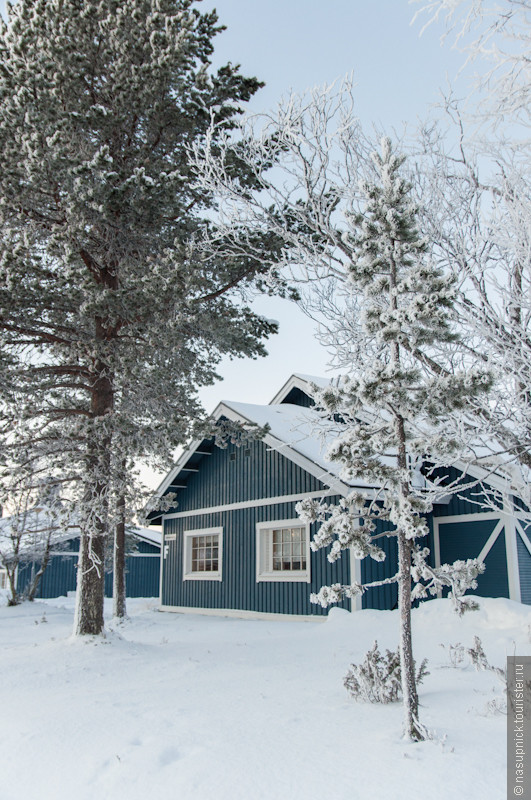 Лапландия зимой — это не только Санта!