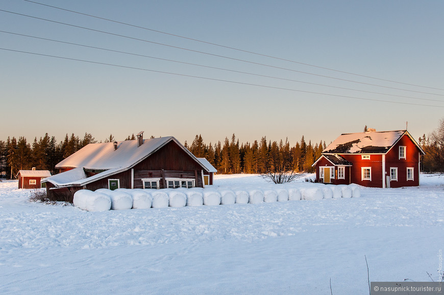 Лапландия зимой — это не только Санта!