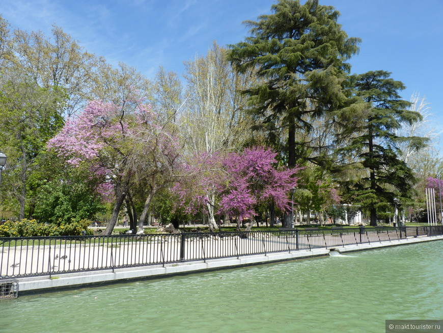 Уютный парк Мадрида