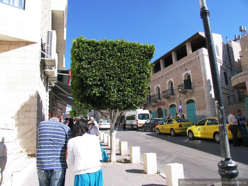 Дерево-куб на одной из вифлеемских улиц