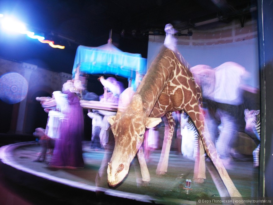 Жираф - участник ветхозаветной инсталляции в парке развлечений Город Царей