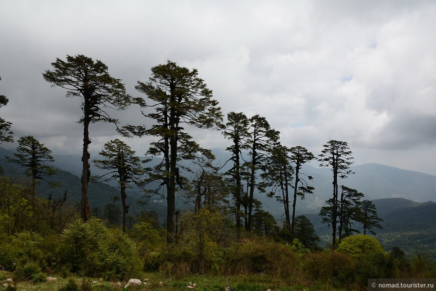 Затерянные Гималаи, Непал-Бутан. Часть 10
