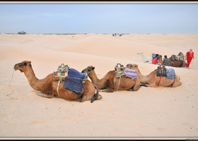 Путешествие по Сахаре (день второй)