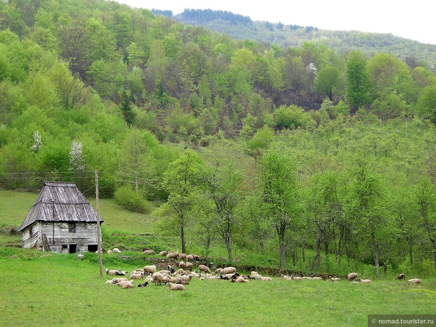 Черногорские хроники. Возвращение. Часть 1