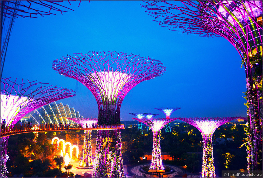Сингапурский феномен — впечатления и размышления