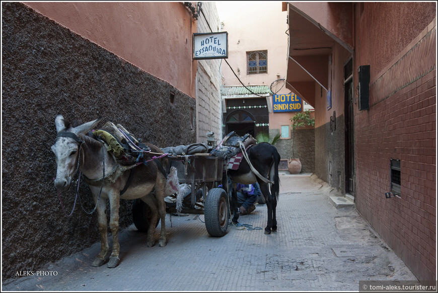 Моя отельная история часть 2 (Марокко)