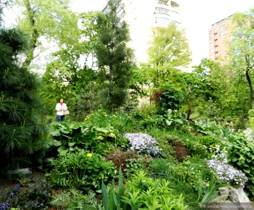 Самый старый ботанический сад России